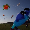 1dfh-4df-gra2010-108