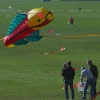 1dfh-4df-gra2010-112