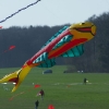 1dfh-4df-gra2010-113