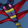 1dfh-4df-gra2010-114