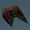 1dfh-4df-gra2010-127