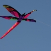 1dfh-4df-gra2010-149