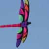 1dfh-4df-gra2010-150