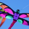1dfh-4df-gra2010-151