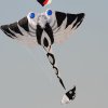 Drachenfest Fliegergruppe Grabenstetten-Teck-Lenninger Tal e.V. 24.09.2016