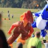 Drachenfest Fliegergruppe Grabenstetten-Teck-Lenninger Tal e.V. 24.09.2016