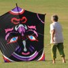 Drachenfest Fliegergruppe Grabenstetten-Teck-Lenninger Tal e.V. 24.09.2016