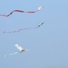 Drachenfest Fliegergruppe Grabenstetten-Teck-Lenninger Tal e.V. 24.09.2016