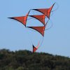 Drachenfest Fliegergruppe Grabenstetten-Teck-Lenninger Tal e.V. 24.09.2016