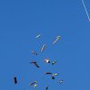 Drachenfest Fliegergruppe Grabenstetten-Teck-Lenninger Tal e.V. 24.09.2016