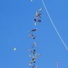 Drachenfest Fliegergruppe Grabenstetten-Teck-Lenninger Tal e.V. 24.09.2016