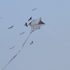 Drachenfest Fliegergruppe Grabenstetten-Teck-Lenninger Tal e.V. 24.09.2016