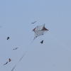 Drachenfest Fliegergruppe Grabenstetten-Teck-Lenninger Tal e.V. 24.09.2016