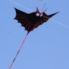 Drachenfest Fliegergruppe Grabenstetten-Teck-Lenninger Tal e.V. 24.09.2016