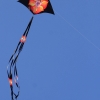 Drachenfest Fliegergruppe Grabenstetten-Teck-Lenninger Tal e.V. 24.09.2016