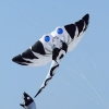 Drachenfest Fliegergruppe Grabenstetten-Teck-Lenninger Tal e.V. 24.09.2016