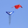 Drachenfest Fliegergruppe Grabenstetten-Teck-Lenninger Tal e.V. 24.09.2016