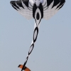 Drachenfest Fliegergruppe Grabenstetten-Teck-Lenninger Tal e.V. 24.09.2016