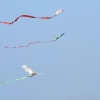 Drachenfest Fliegergruppe Grabenstetten-Teck-Lenninger Tal e.V. 24.09.2016