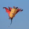 Drachenfest Fliegergruppe Grabenstetten-Teck-Lenninger Tal e.V. 24.09.2016