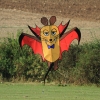 Drachenfest Fliegergruppe Grabenstetten-Teck-Lenninger Tal e.V. 24.09.2016
