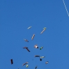 Drachenfest Fliegergruppe Grabenstetten-Teck-Lenninger Tal e.V. 24.09.2016