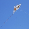 Drachenfest Fliegergruppe Grabenstetten-Teck-Lenninger Tal e.V. 24.09.2016