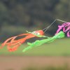 Drachenfest Grabnestetten 26.09.2015