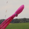 Drachenfest Grabnestetten 26.09.2015
