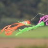 Drachenfest Grabnestetten 26.09.2015