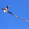 Drachenfest Fliegergruppe Hülben e.V. 16.10.2016