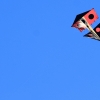 Drachenfest Fliegergruppe Hülben e.V. 16.10.2016