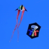 Drachenfest Fliegergruppe Hülben e.V. 16.10.2016