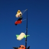 Drachenfest Fliegergruppe Hülben e.V. 2014