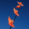 Drachenfest Fliegergruppe Hülben e.V. 2014