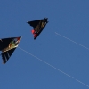 Drachenfest Fliegergruppe Hülben e.V. 2014