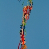 Drachenfest Fliegergruppe Hülben e.V. 2014