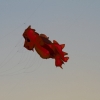 Drachenfest Fliegergruppe Hülben e.V. 2014