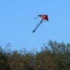 1dfh-drachenfest-huelben-2013-002