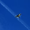 1dfh-drachenfest-huelben-2013-012