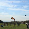 1dfh-drachenfest-huelben-2013-026