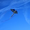 1dfh-drachenfest-huelben-2013-029