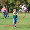 1dfh-drachenfest-huelben-2013-003
