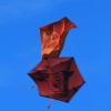 1dfh-drachenfest-huelben-2013-021
