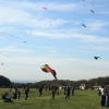 1dfh-drachenfest-huelben-2013-026