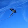 1dfh-drachenfest-huelben-2013-029