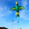 1dfh-drachenfest-huelben-2013-044