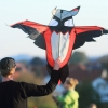 Drachenfest Fliegergruppe Hülben e.V.