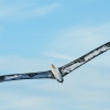 Drachenfest Fliegergruppe Hülben e.V.