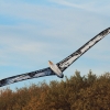 Drachenfest Fliegergruppe Hülben e.V.